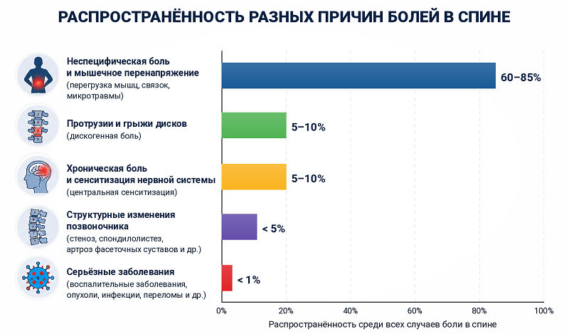 Причины болей в спине