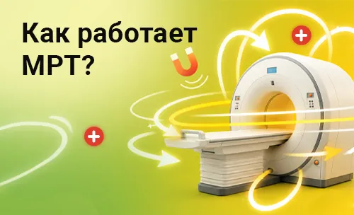 Как работает МРТ? Открытие магнитно-резонансной диагностики